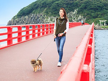 この秋、愛犬と遠くまでデートに行くのはいかが？