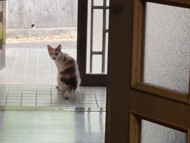開け放った玄関から「普通に入ってきた」という（「琥珀」さん提供）（「琥珀」さん提供、Xよりキャプチャ撮影）