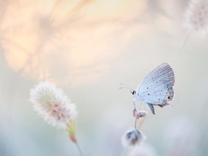 自分との付き合いすら面倒な私なのに、推しを好きになってしまった