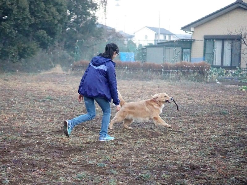 「自由に思い切り走ったり」