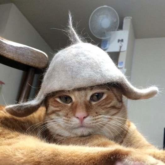 ママが猫の毛でつくってくれた帽子を被る