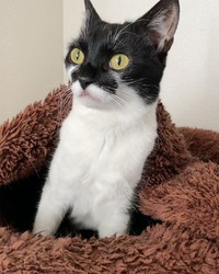 ぐっすり寝ていたが、悪い夢でも見たのかガバっと起きた