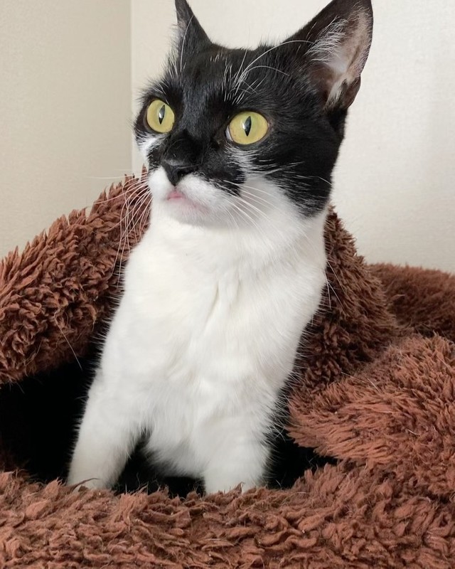 ぐっすり寝ていたが、悪い夢でも見たのかガバっと起きた