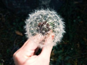 何度不採用になっても諦めなかった編集の仕事。それは「初恋」だった