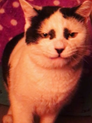 赤外線の灯りの前で寝ぼけ顔