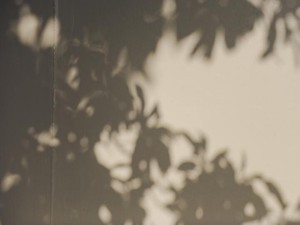 所詮は仕事？真面目な私にとって仕事を辞める選択は簡単じゃなかった