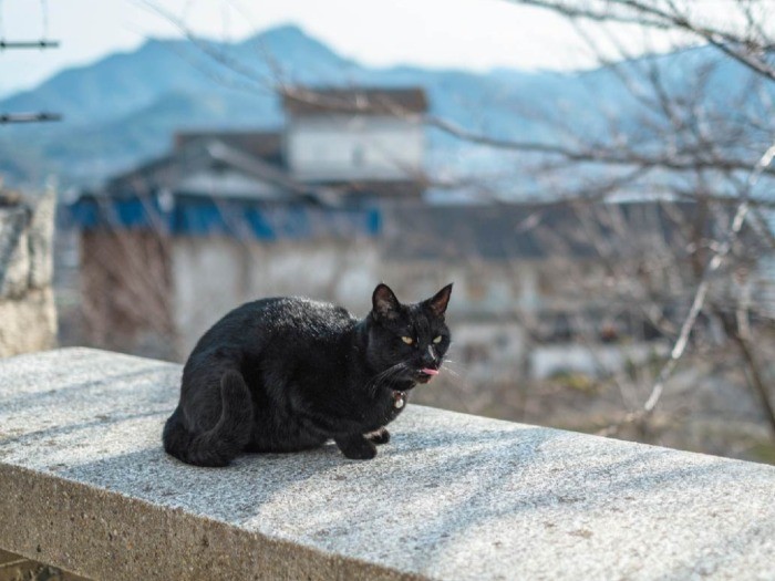 ケンちゃんは絶好のビューポイントを知っている