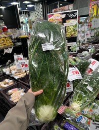 スーパーで見つけたフェンネル／パパイヤの東京飯（@papaya_tokyodate）さん提供