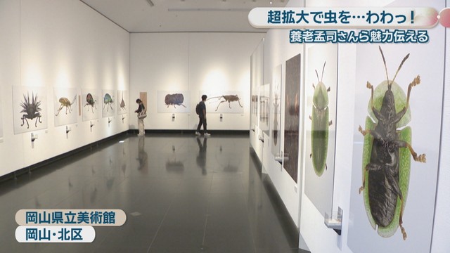 岡山県立美術館　岡山市北区