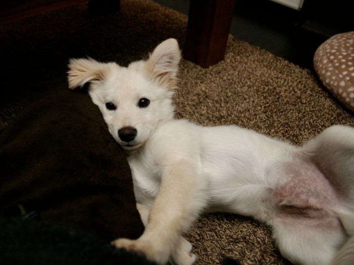 その後、手足だけが伸びてバランスがおかしいときの大吉