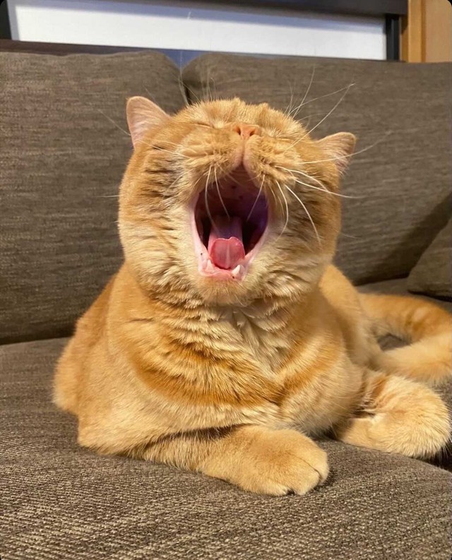 首回りもスッキリ！（提供）