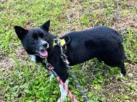 当初の警戒した表情が少しずつ柔らかくなっていきました