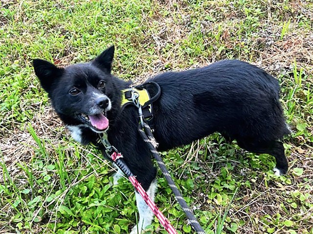 当初の警戒した表情が少しずつ柔らかくなっていきました