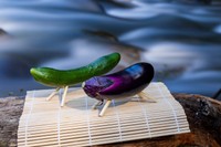 妻が頼んだのは…精霊馬でした！※画像はイメージです（正之倉金/stock.adobe.com）