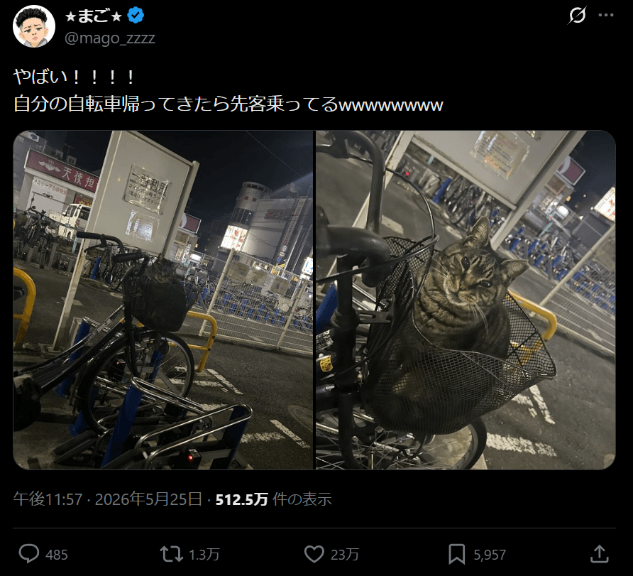 投稿は23万いいね（投稿主提供）