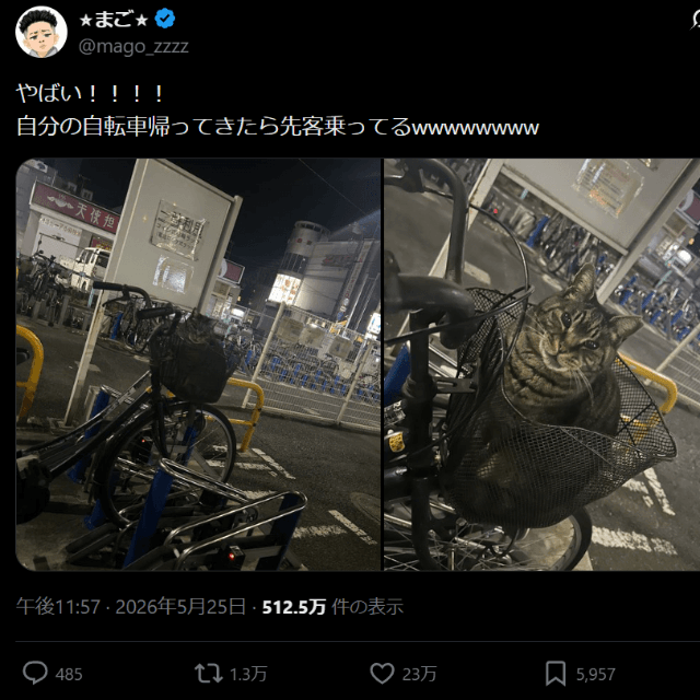 投稿は23万いいね（投稿主提供）