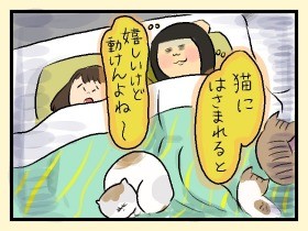 私はあんたの何なのさ、と叫ぶ35の夜　やっぱ、猫じゃけぇ(18)