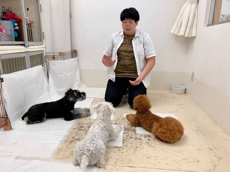 「待て」のトレーニング中