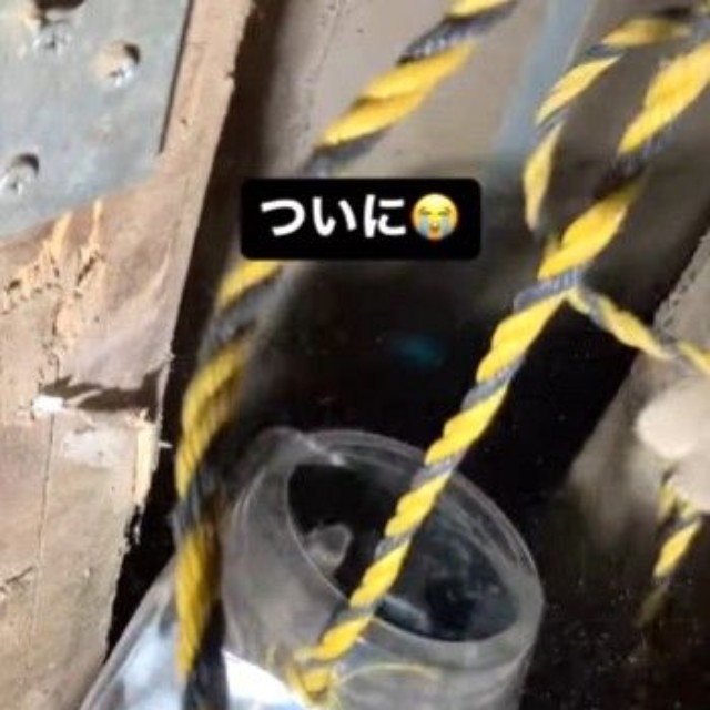 ついにカゴに入り、引き上げられた（佐々木 幸一さん提供、Instagramよりキャプチャ撮影）