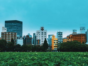 今と昔が入り混じる東京。もっといいところを見つけたい