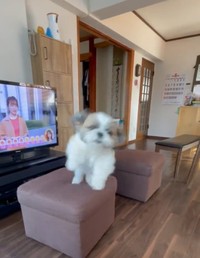 （栄作さん提供）