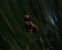 時空を越えそうになった時も