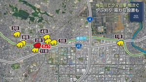 仙台・宮城野区の梅田川沿いでクマの目撃情報相次ぐ