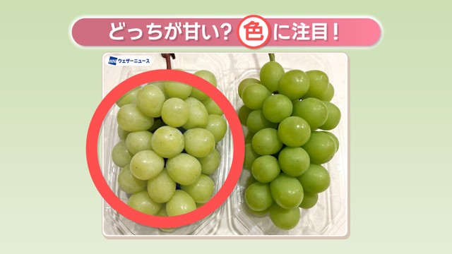 提供：ウェザーニューズ