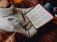 【厳選】30グラムの小さな背中に見えた「生き方」。横柄なタクシー運転手にやり返した私の対応…1月に読まれたエッセイ