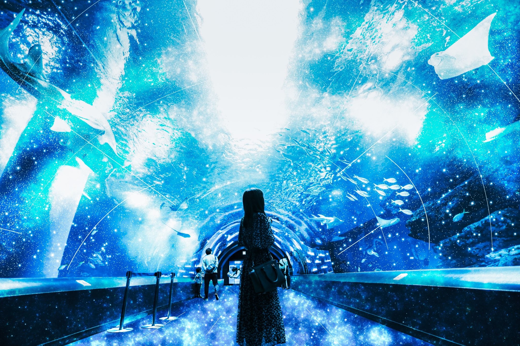 まるで銀河鉄道 な画像が話題 制作過程をクリエイターに聞いてみた ほ とせなnews