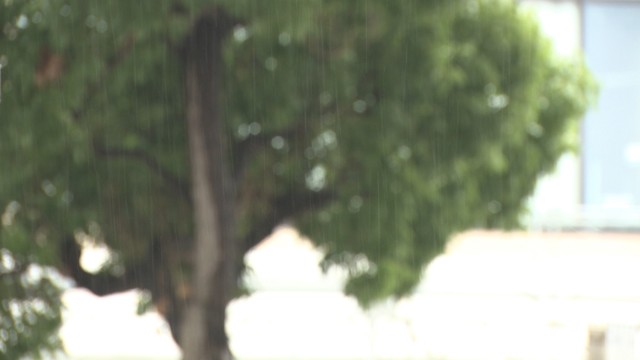 【速報】四国地方が梅雨入り　平年よりも3日早く、2025年よりも16日遅い