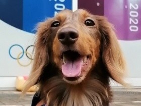 愛犬のかゆみ、自宅でどんなケアをする？　病院に行ったほうがよい目安は