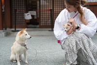 初代シロ（左）とチビシロ（右）。まだ微妙な距離があるが、初代シロは興味津々。今後仲良くなりそう