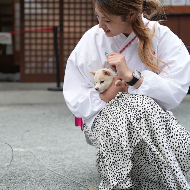 初代シロ（左）とチビシロ（右）。まだ微妙な距離があるが、初代シロは興味津々。今後仲良くなりそう