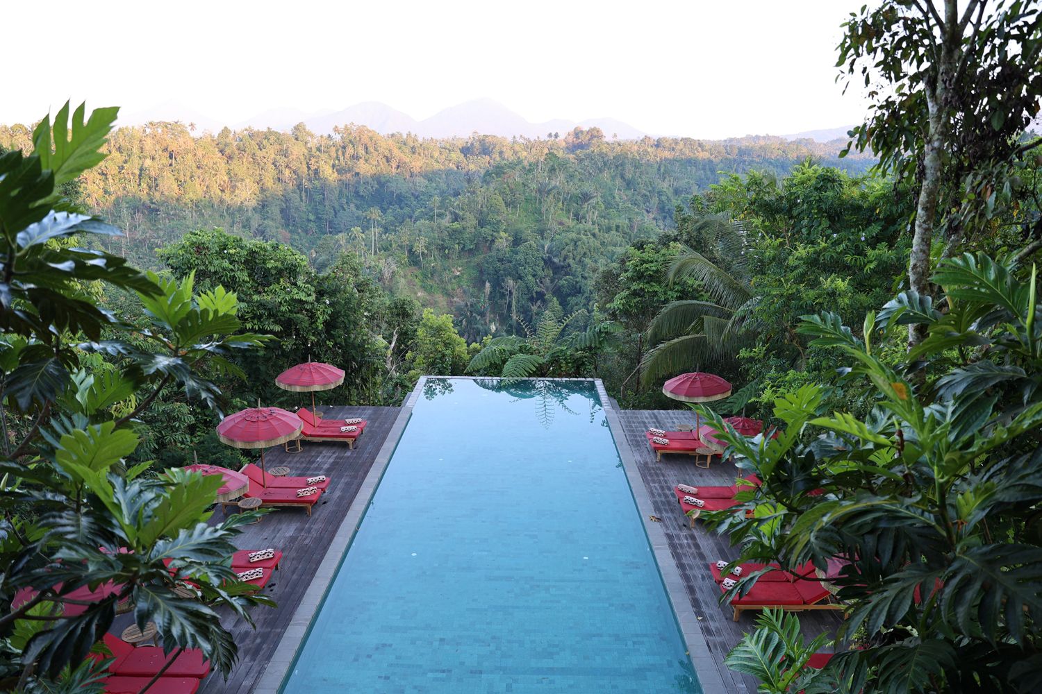 1500_バリ_バンヤンツリー02