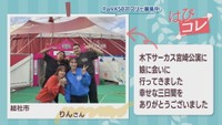 【はぴコレ】進化し続ける木下サーカスと娘・国道32号線沿いのイルミネーション　12月16日放送