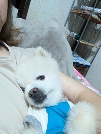 「ずっとのお家」を見つけようね！