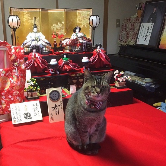 ツヤツヤのお姫様になった（提供写真）