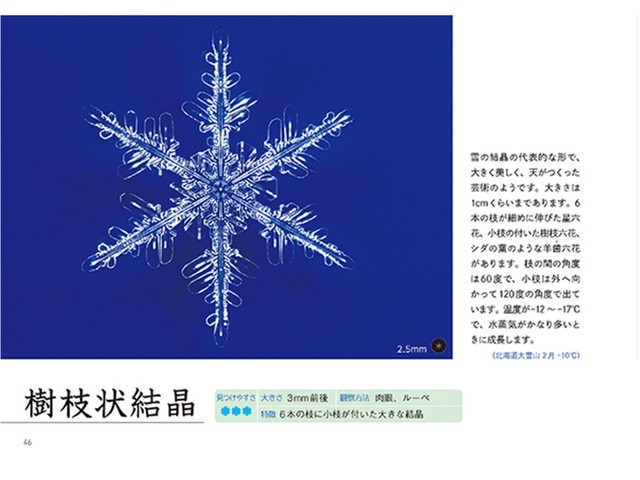 楽しい雪の結晶観察図鑑 天からの手紙を読み解くお供に 好書好日