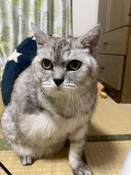 時折見せる、流し目も素敵だった