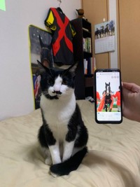 名前の由来である競走馬イスラボニータと一緒に