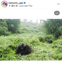 宇賀なつみアナのインスタグラム＠natsumi_ugaより