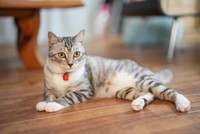 そら豆はやんちゃ娘