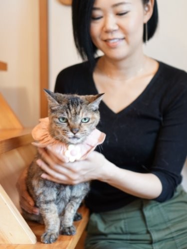 maiさんが大学生の頃から一緒のモコ