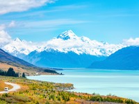 騒ぎ出す猪年の血。言語化して明らかになった今年やりたいこと