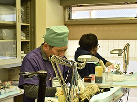 野良猫の不妊・去勢手術だれが担う？ボランティア団体活動終了へ