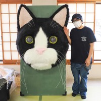 巨大看板猫と猫作家の「ネコかぶってますが」さん