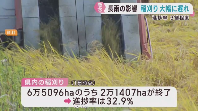 長雨の影響　宮城県の稲刈り進捗率は３割と遅れる