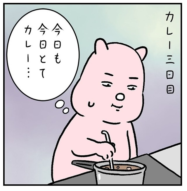 連続3日間のカレー生活（すやすや子さん提供）