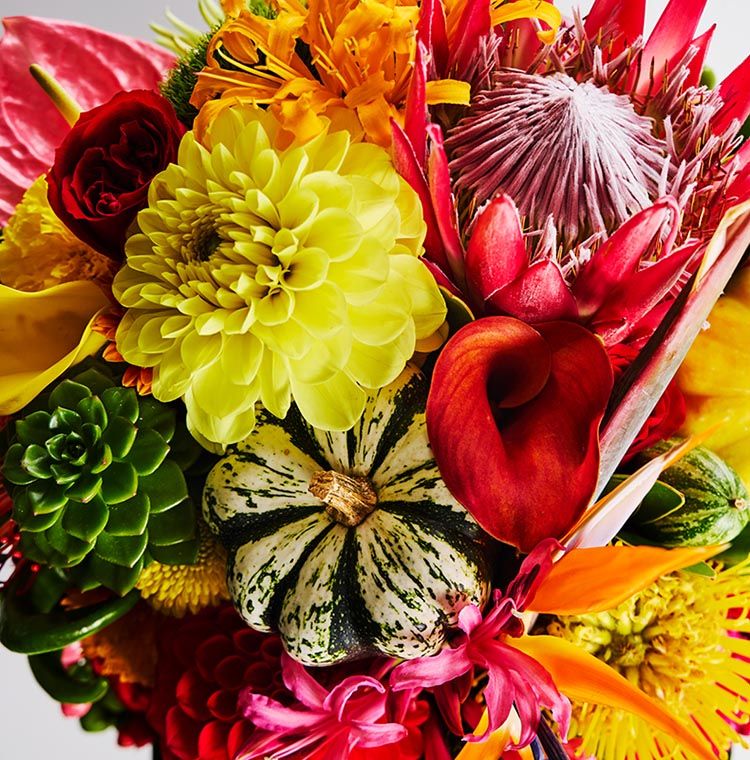 光を操るガラス作家が映し出す美しさ「時の花 —イイノナホ展—」 | 朝日